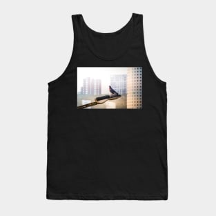 Urban dove on street lamp Tank Top